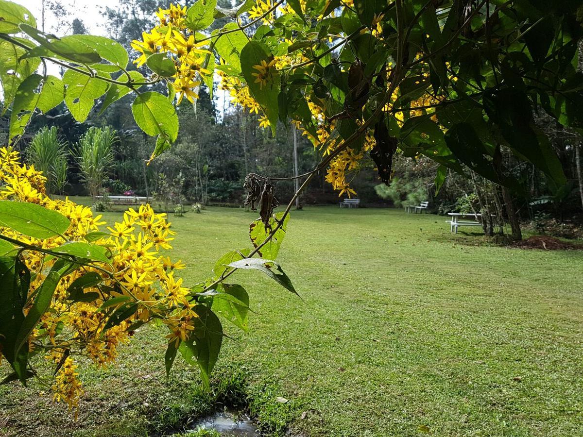 Paraiso San Jose Santa Cruz Verapaz المظهر الخارجي الصورة
